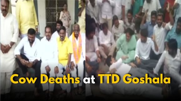 TTD Goshala Tragedy: Tension Sparks After Cow Deaths
