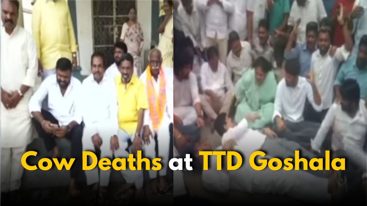 TTD Goshala Tragedy: Tension Sparks After Cow Deaths
