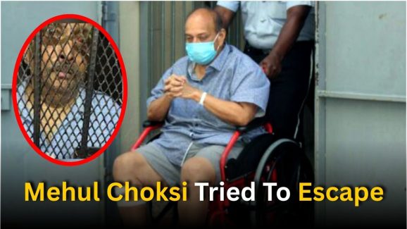 Who is Mehul Choksi? tried to flee to Switzerland