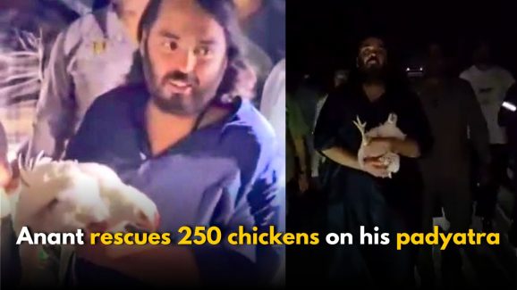 Anant Ambani rescues 250 chickens on his 140 km padyatra to Dwarka
