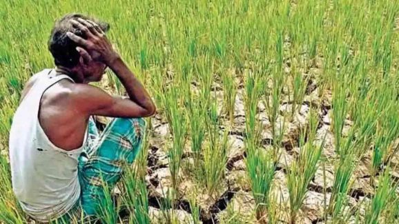 Telangana Farmers Protest Over Water Shortage Wasting Crops