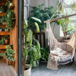 6 Vibrant Leaf Houseplants to Add Color to Your Interiors