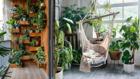 6 Vibrant Leaf Houseplants to Add Color to Your Interiors