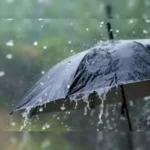 Rain Alert in Andhra Pradesh: Here’s the forecast for next three days