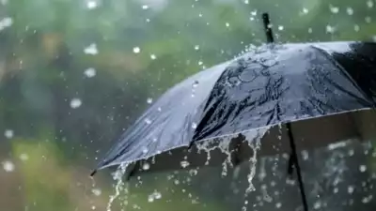 Telangana Weather Update: Rains Bring Relief but Claim Four Lives