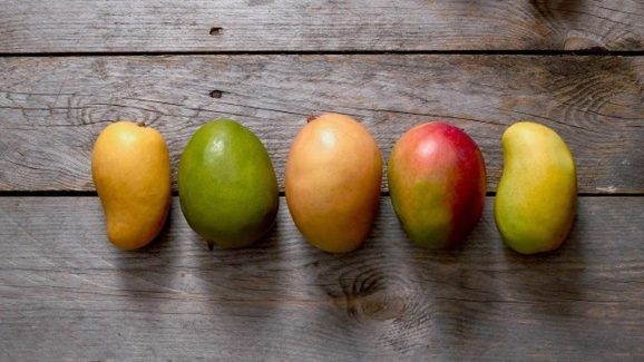 Best Mangoes Available This Summer