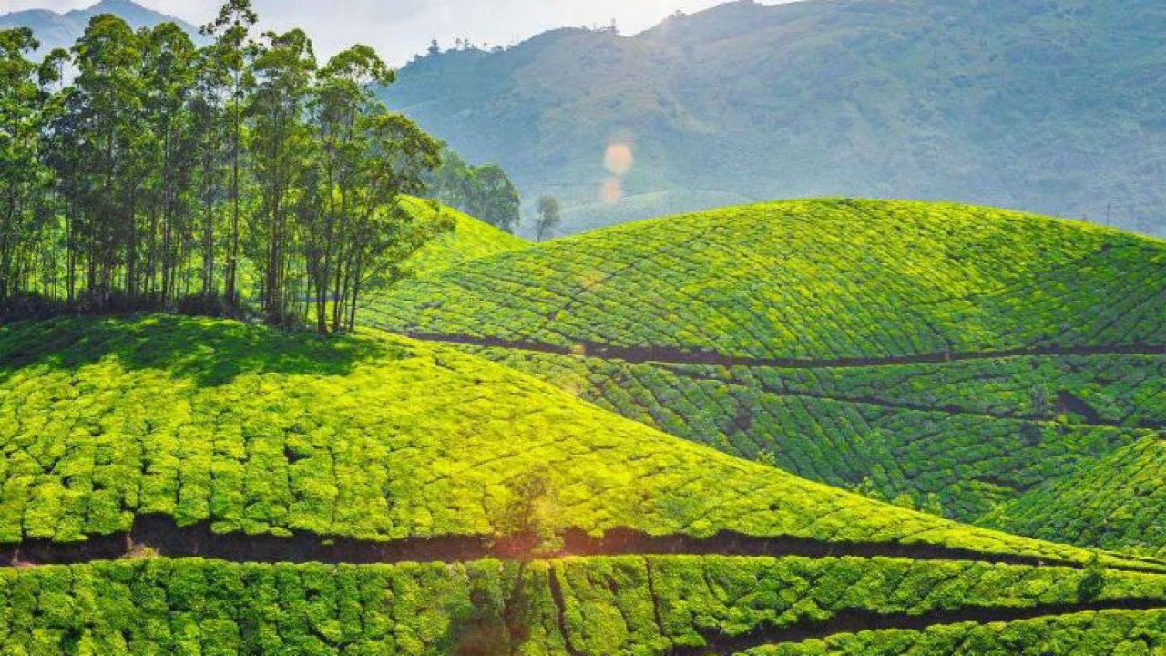 Top 5 Pocket-Friendly Summer Hill Destinations in India