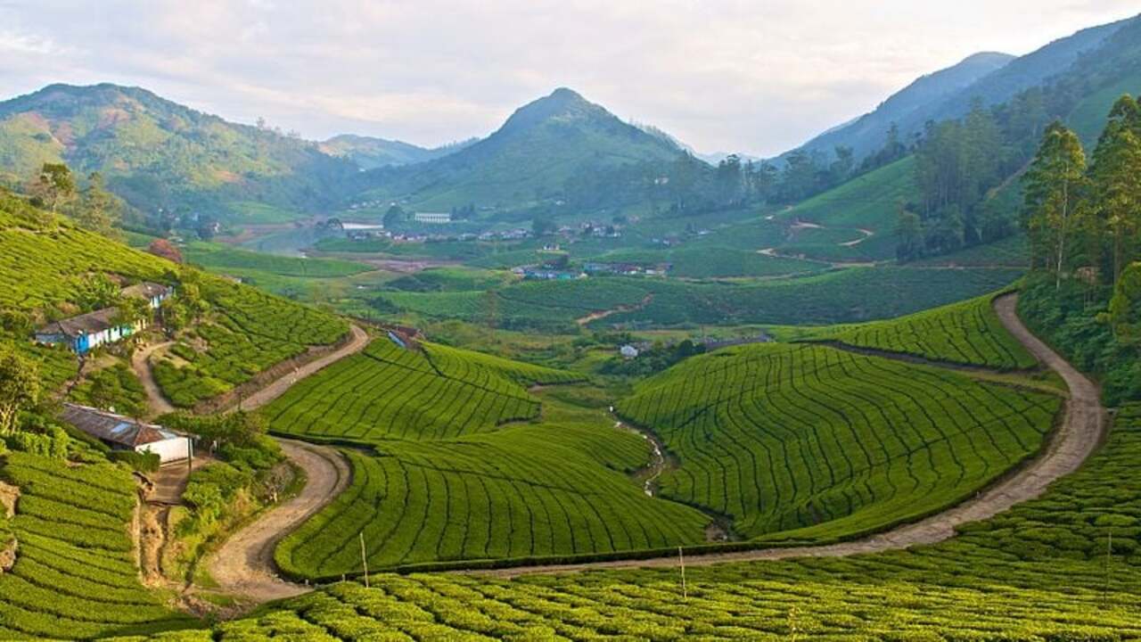 Top 5 Beautiful Hill Stations Near Chennai for a Relaxing Getaway