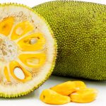Jackfruit for cancer prevention: Here are its benefits