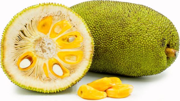 Jackfruit for cancer prevention: Here are its benefits