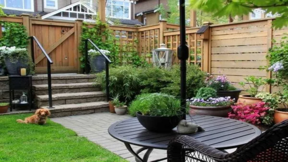 Natural Mosquito Repellent Plants for Your Home to Stay Healthy