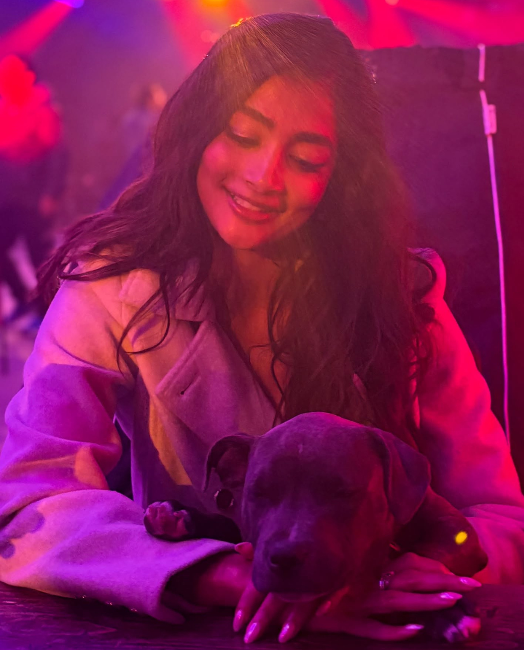 Pooja Hegde PHOTOGALLERY