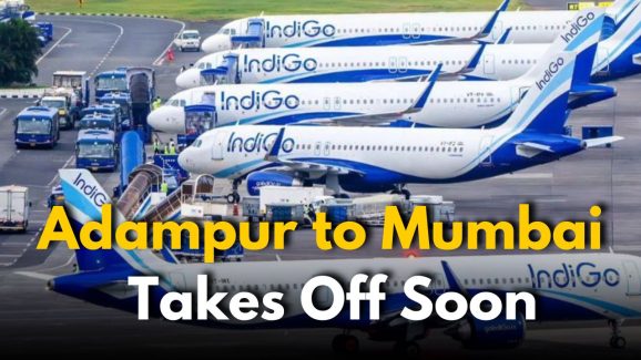 IndiGo’s New Route: Adampur to Mumbai Takes Off Soon