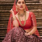 Nabha Natesh steals Fans’ hearts as Radha