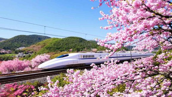 IRCTC Bullet Train Travel: Tourists across Cherry Blossom Country