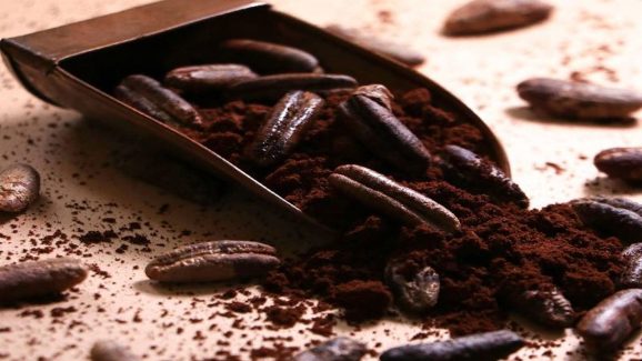 What is Date Seed Coffee? The Viral Healthy Drink Everyone is Talking About