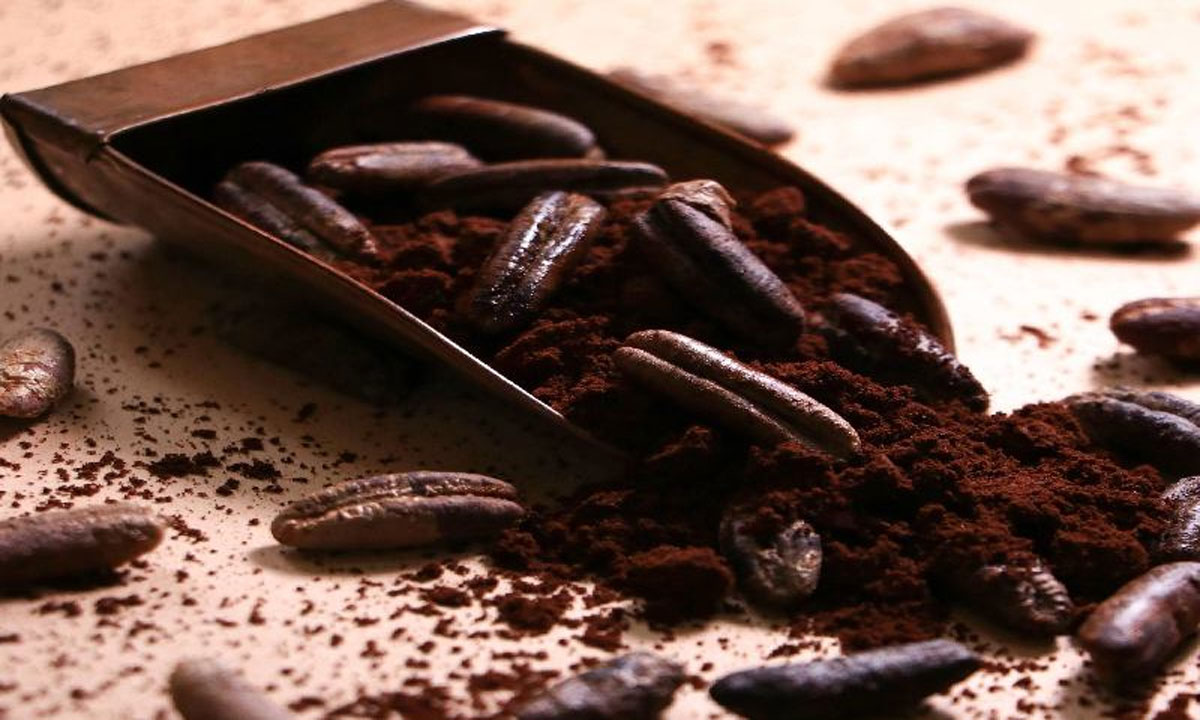 What is Date Seed Coffee? The Viral Healthy Drink Everyone is Talking About