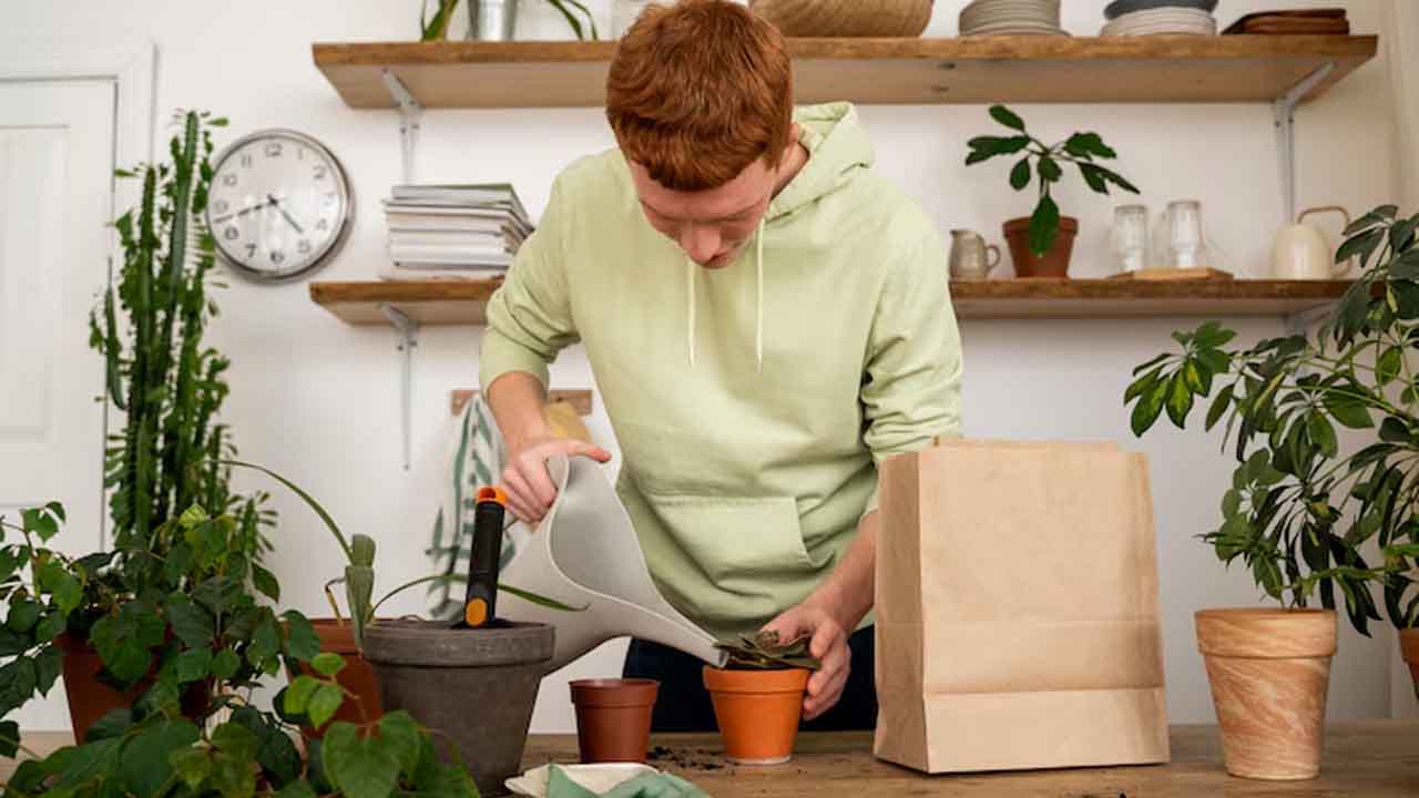 Zero-Waste Gardening: Process and Impact Explained