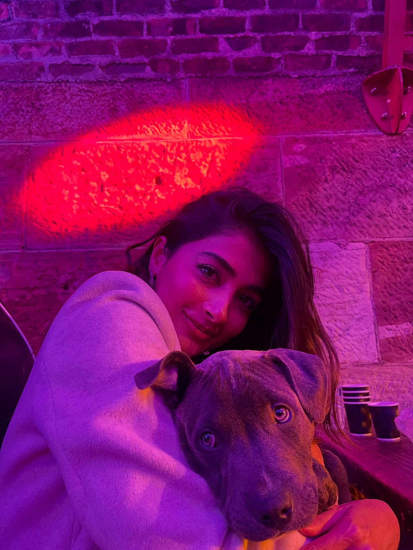 Pooja Hegde Photogallery