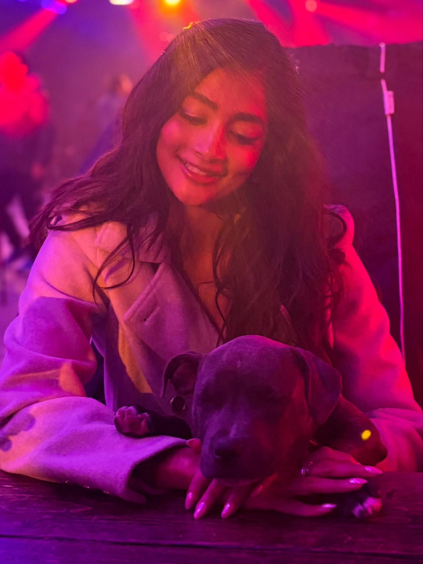 Pooja Hegde Photogallery