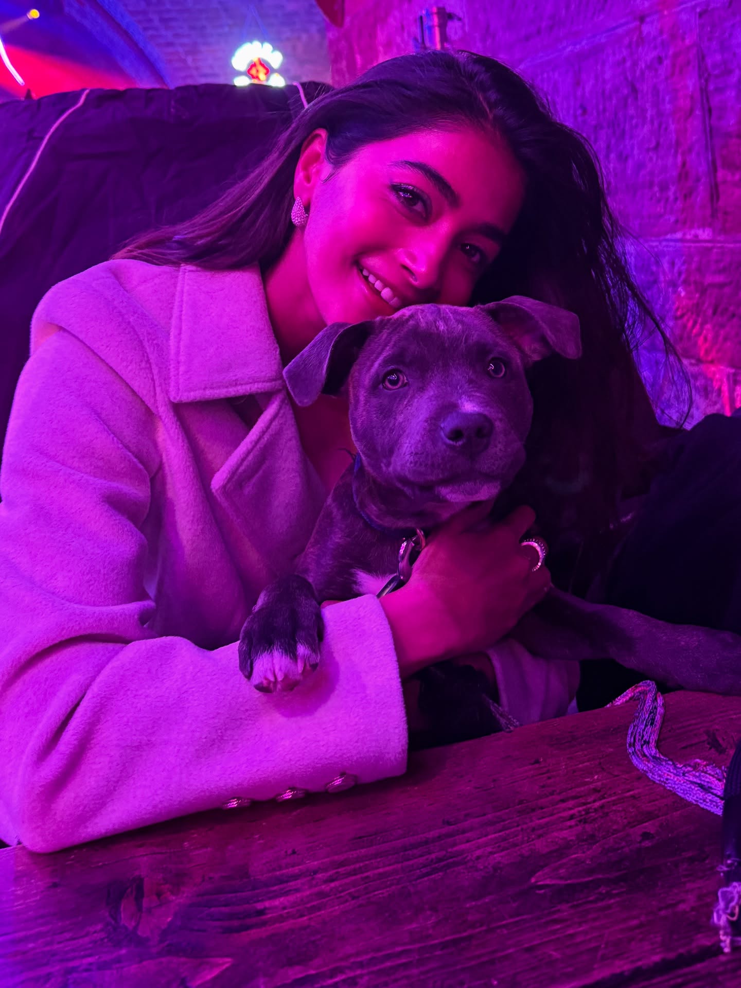 Pooja Hegde Photogallery