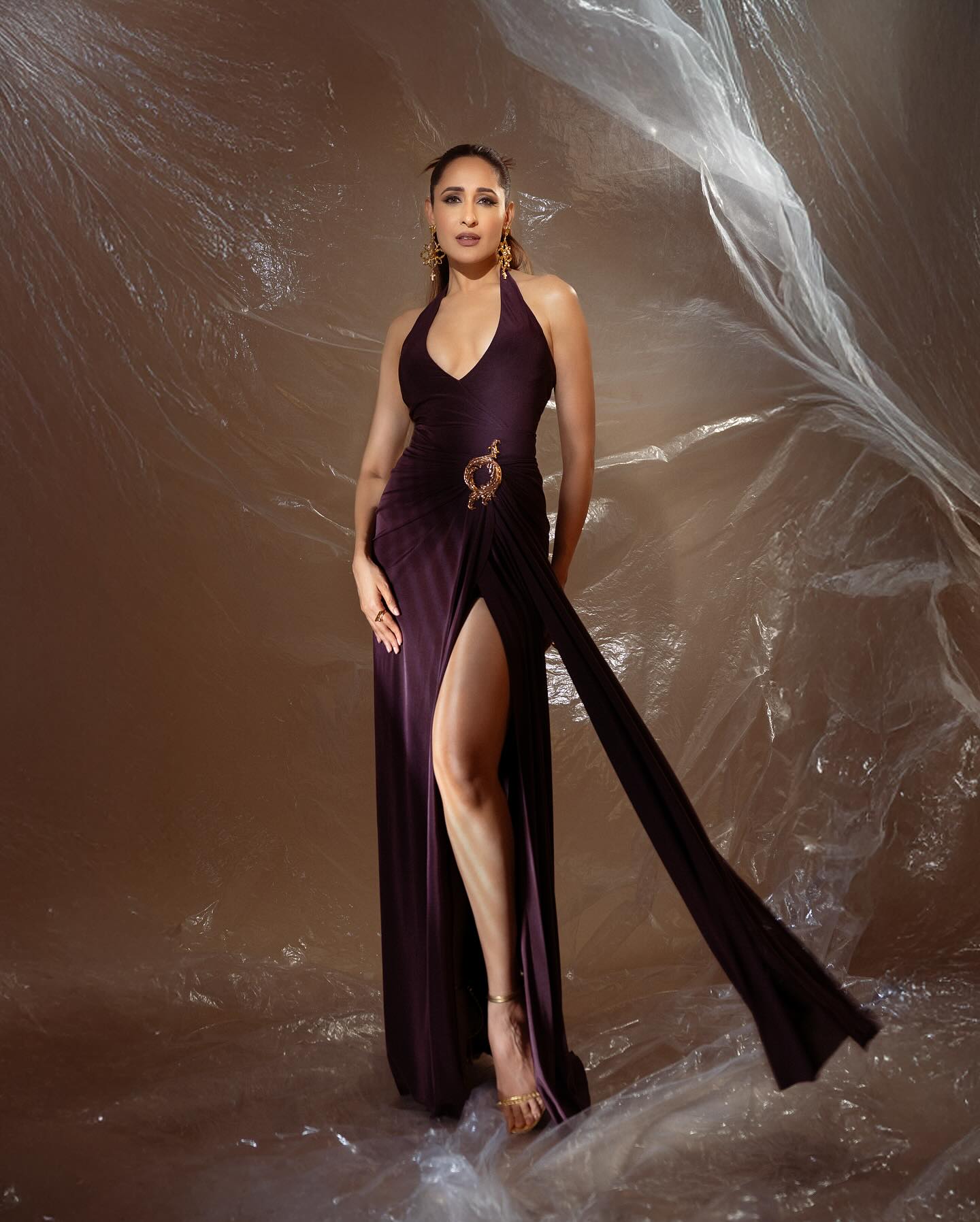 Pragya Jaiswal slays in dark purple like diva for special night