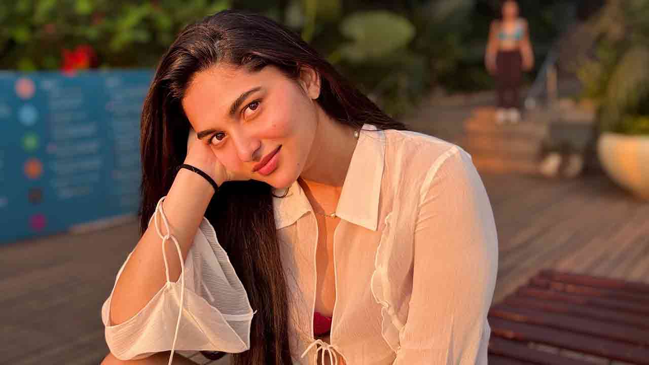 Did Kayadu Lohar get ₹35 lakh payment for night parties?