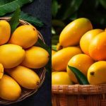 Is it Safe to eat Mangoes during Rainy Season? Health Risks and Precautions Explained