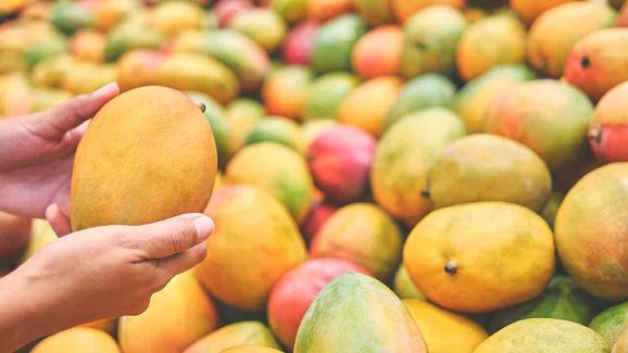 Real Mango vs False Mango: Simple Steps to Identify the Difference at Home