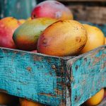 US Rejects 15 Indian Mango Shipments at $500,000 Loss