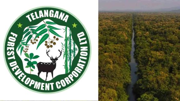 Telangana Forest Development Corporation Celebrates a Decade of Green Innovation