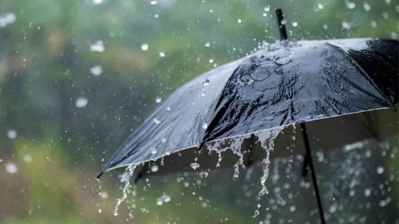 IMD issues heavy rain alert for eight Telangana districts: Check list