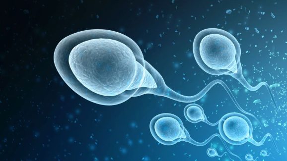 Cancer Causing Gene Found in Sperm Donor: 67 Children at Risk