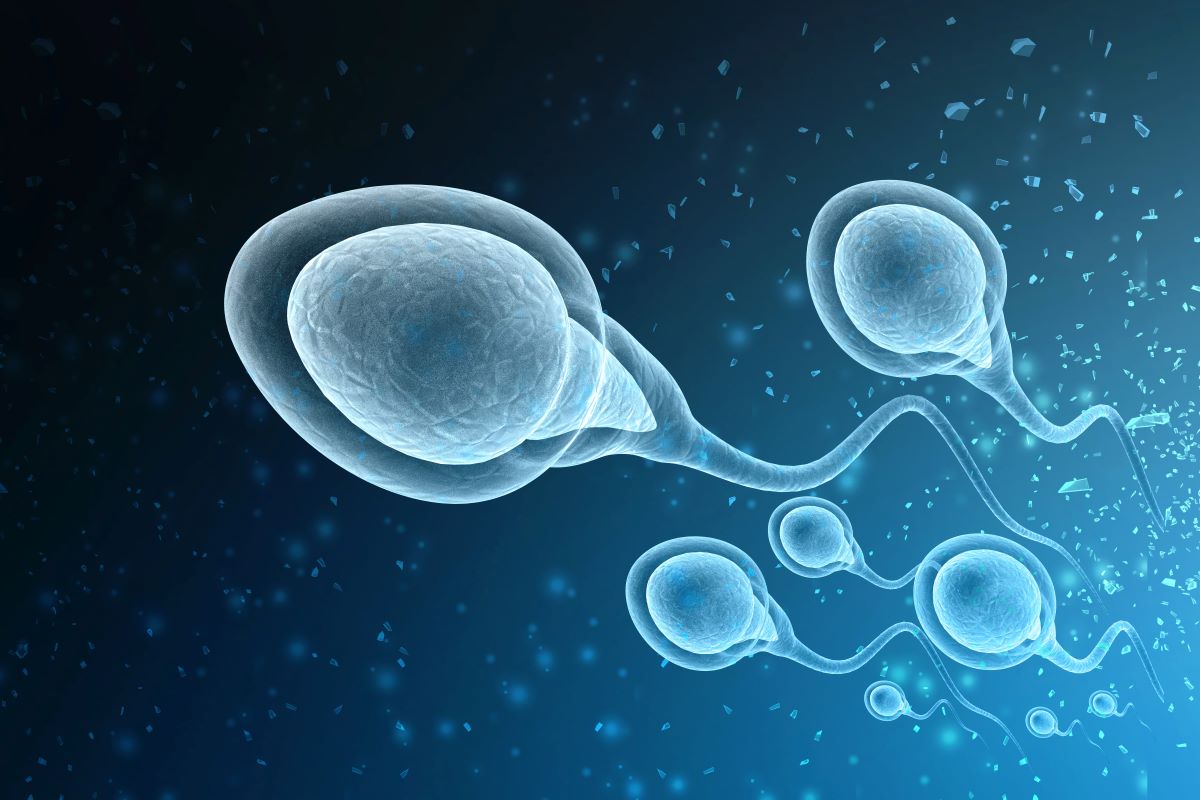 Cancer Causing Gene Found in Sperm Donor: 67 Children at Risk