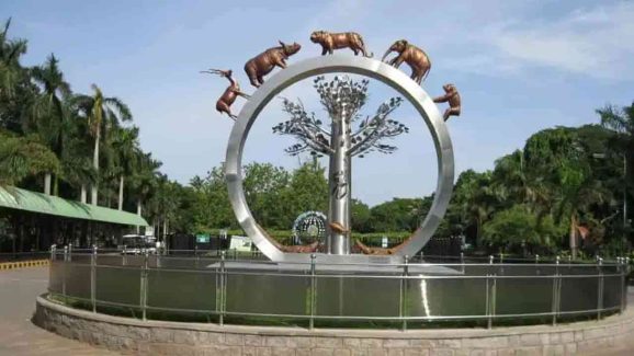 Hyderabad: Nehru Zoological Park offers summer camp for Kids