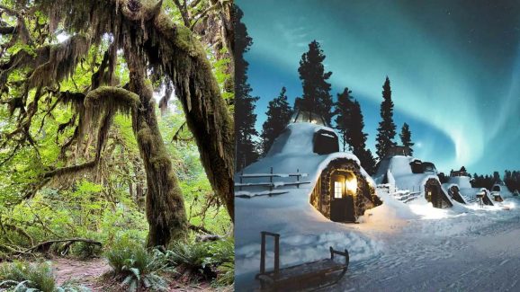 6 Quiet Places That Every Introvert Needs to Explore