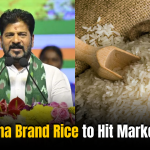 Telangana Brand Rice to Hit Markets Soon: Govt to Sell Premium Varieties