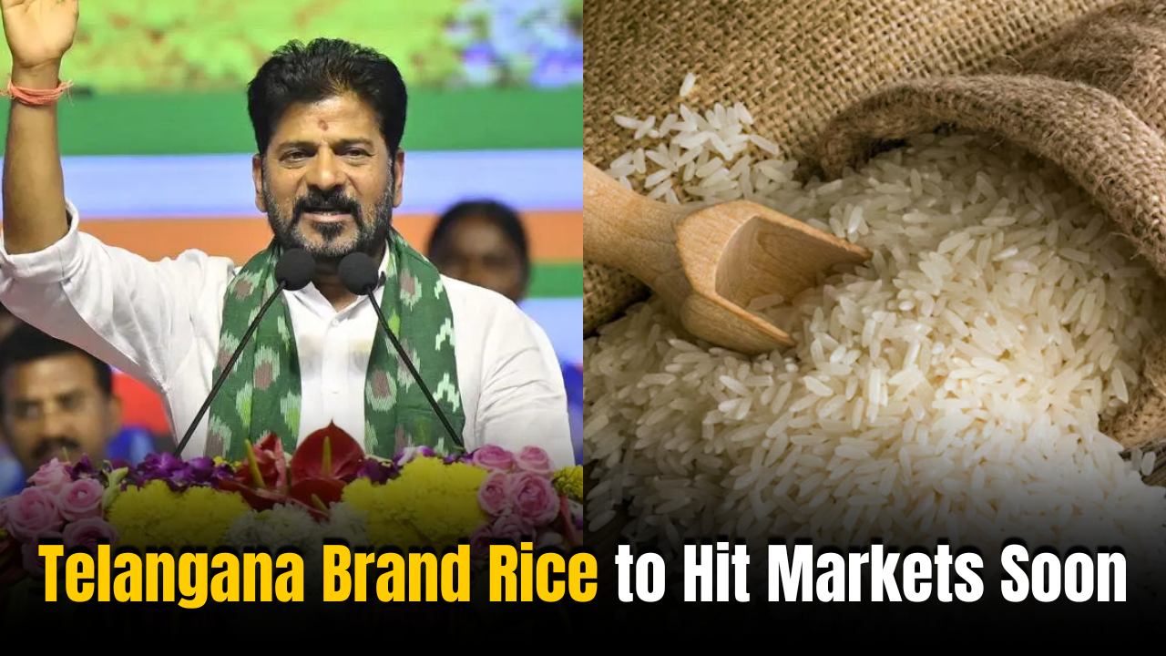 Telangana Brand Rice to Hit Markets Soon: Govt to Sell Premium Varieties
