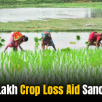Telangana: Rs 68 Lakh Crop Loss Aid Sanctioned for 823 Farmers