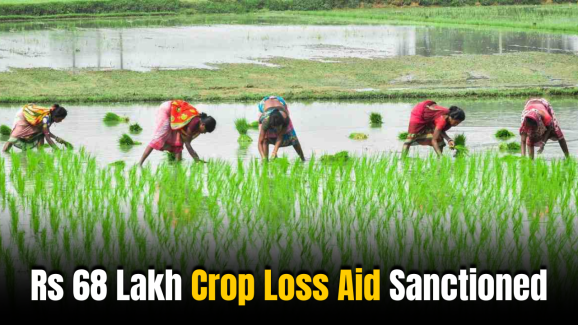 Telangana: Rs 68 Lakh Crop Loss Aid Sanctioned for 823 Farmers