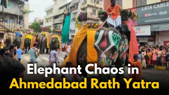 Ahmedabad Rath Yatra Chaos: 2 Injured in Elephants Rampage