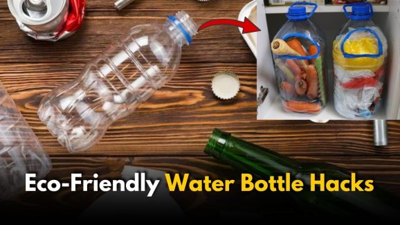 9 Brilliant Uses for Plastic Bottles That Slash Kitchen Waste