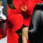 Hibiscus Oil for Hair Regrowth: Easy DIY Method at Home