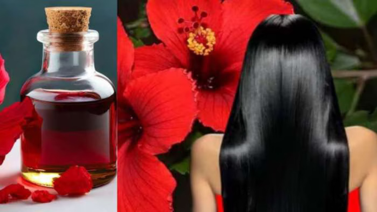 Hibiscus Oil for Hair Regrowth: Easy DIY Method at Home