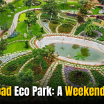 Hyderabad Eco Park: A Weekend Escape with Exotic Birdsong