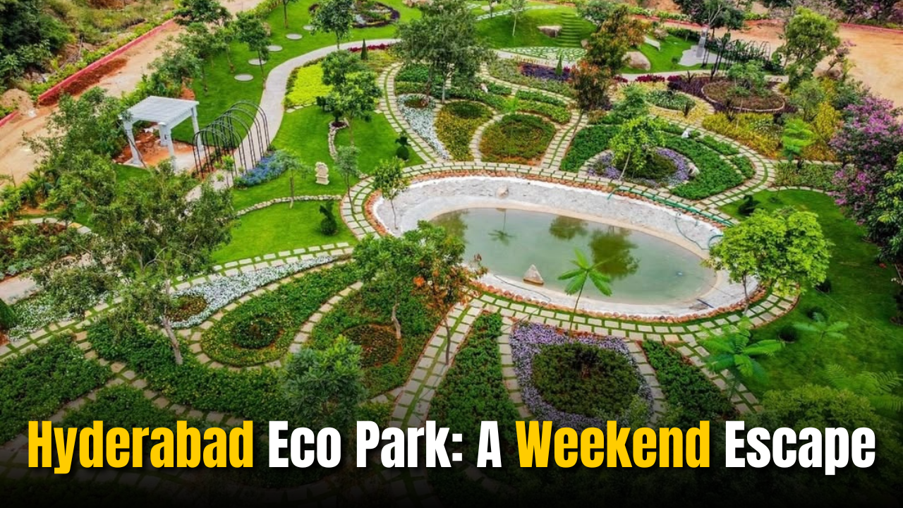 Hyderabad Eco Park: A Weekend Escape with Exotic Birdsong