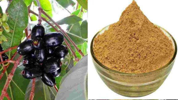 Jamun Seed Powder: 5 Health Benefits of Taking It on an Empty Stomach