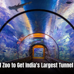 Hyderabad Zoo to Get India’s Largest Tunnel Aquarium, Tiger Zone by 2026