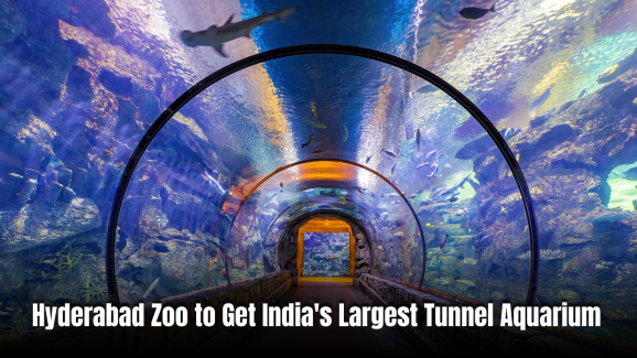 Hyderabad Zoo to Get India’s Largest Tunnel Aquarium, Tiger Zone by 2026