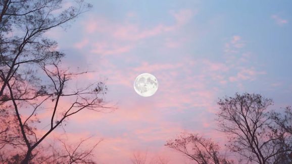 Strawberry Moon 2025: All About Rare Lunar Alignment